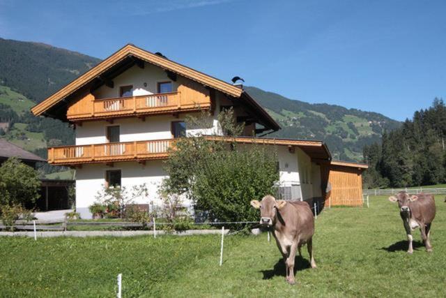 Gaestehaus Hauser ハインツェンベルク エクステリア 写真